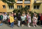 Grupa I
