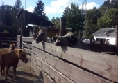 CAM00681
